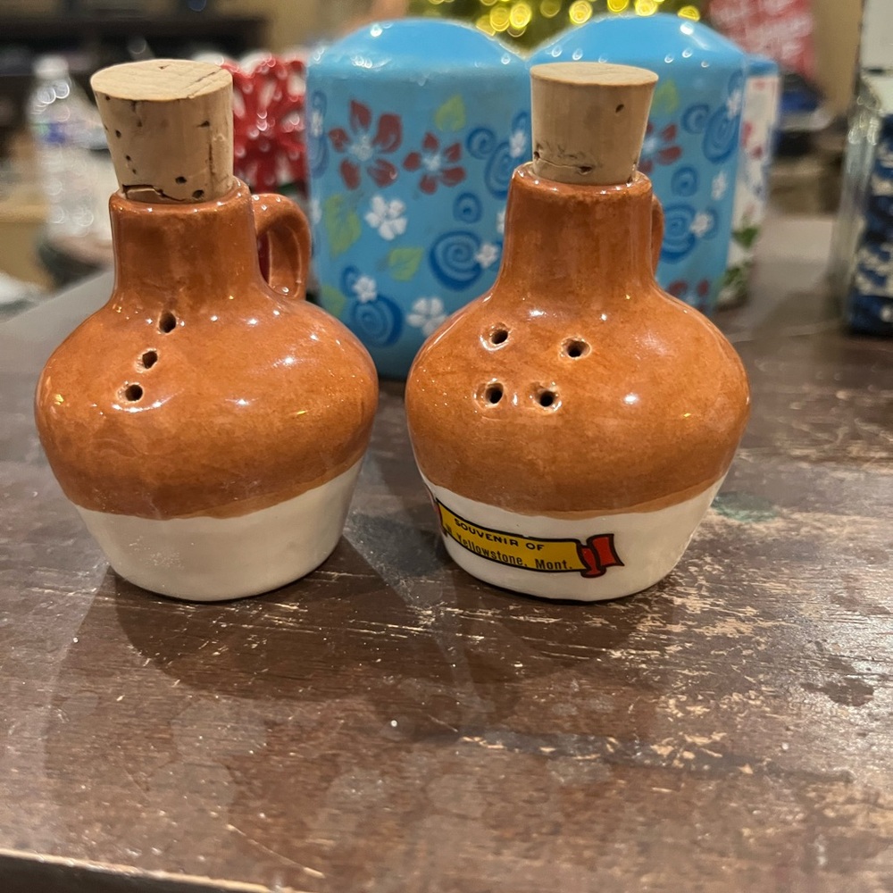 Rustic Brown Ceramic Salt and Pepper Shakers